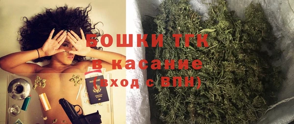 гашик Белоозёрский
