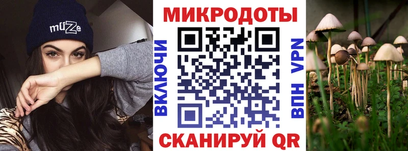 Купить  Озёрск  Псилоцибиновые грибы GOLDEN TEACHER 